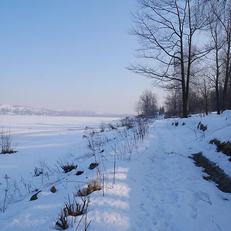 Niewinne Domki - Burgundia Żywiec Dış mekan fotoğraf